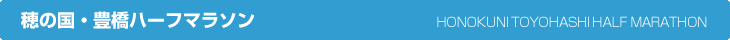 第9回穂の国・豊橋ハーフマラソン